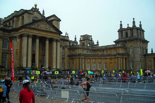 Blenheim transition area